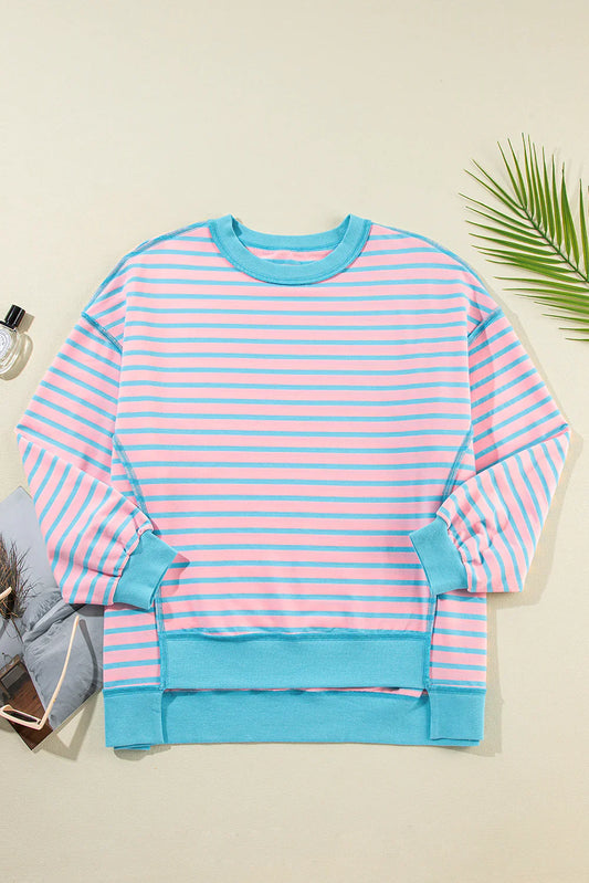 Pink and blue striped sweatshirt on a beige background with a plant leaf.