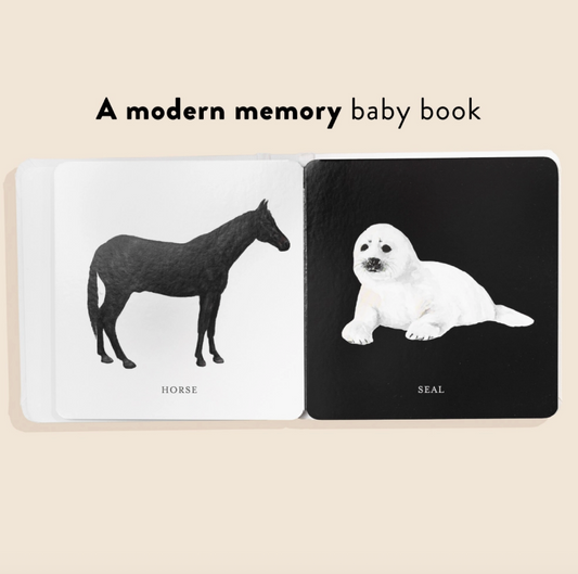 Baby's Black and White Book