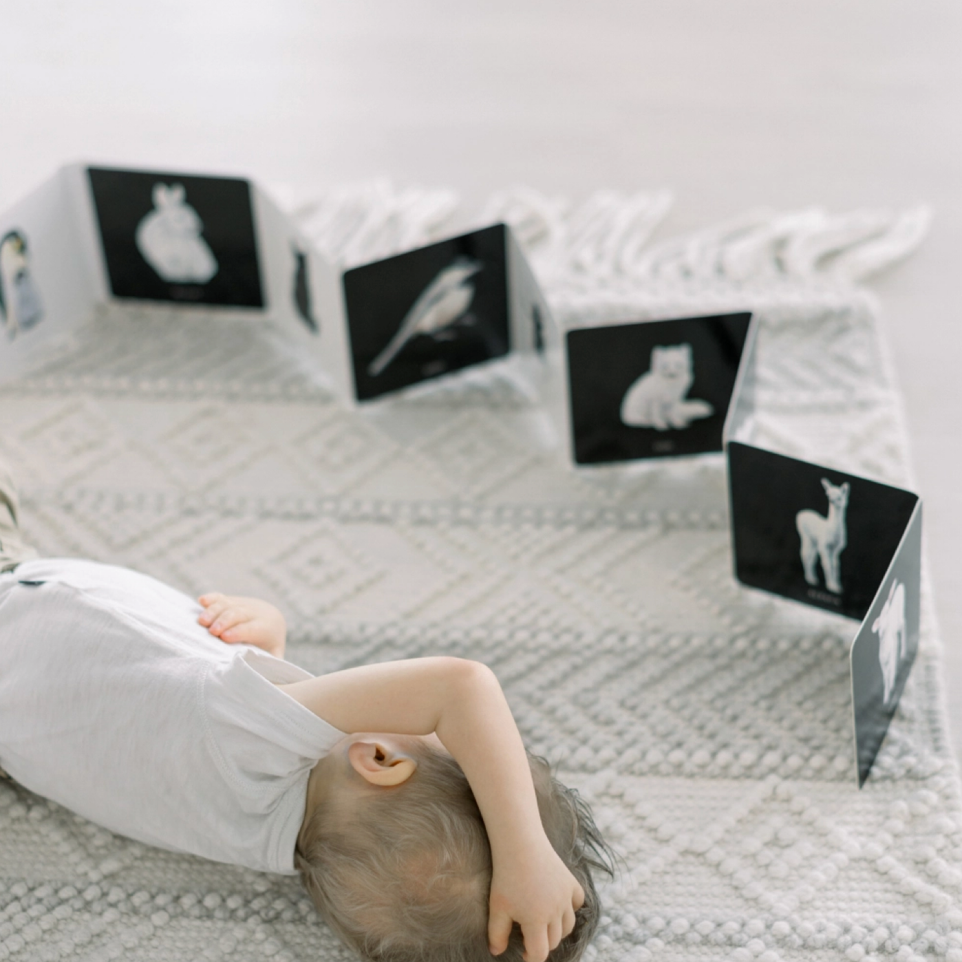 Baby's Black and White Book