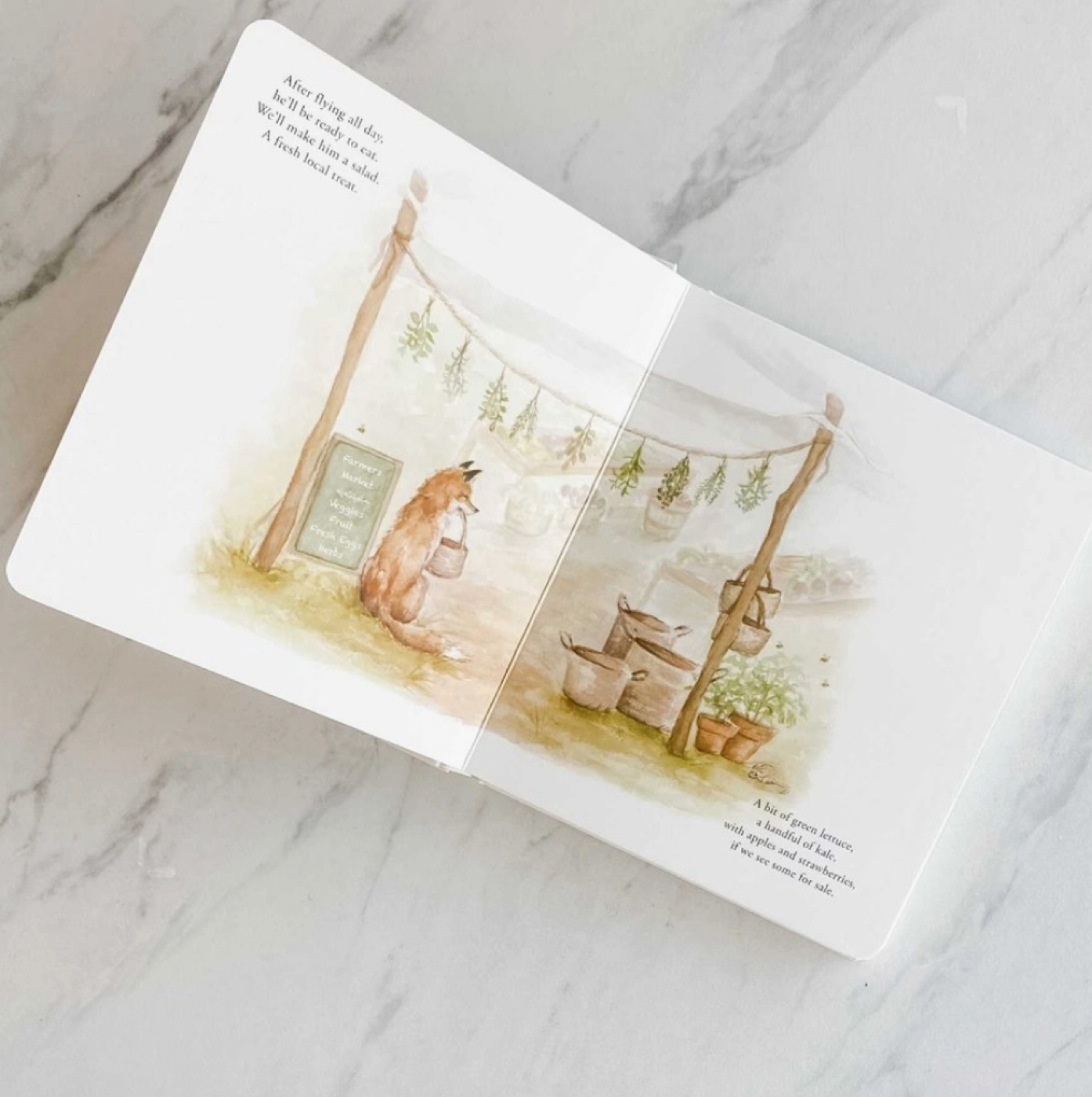 Our Little Adventure ot The Farmer's Market Book