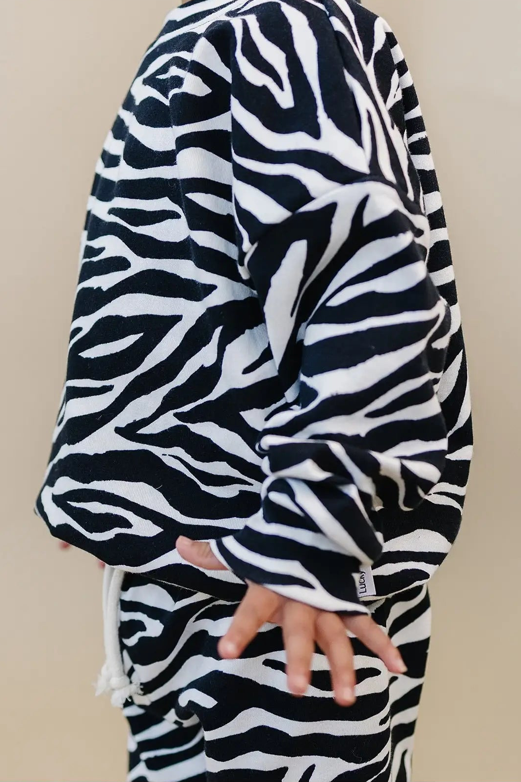 Zebra Jogger Set