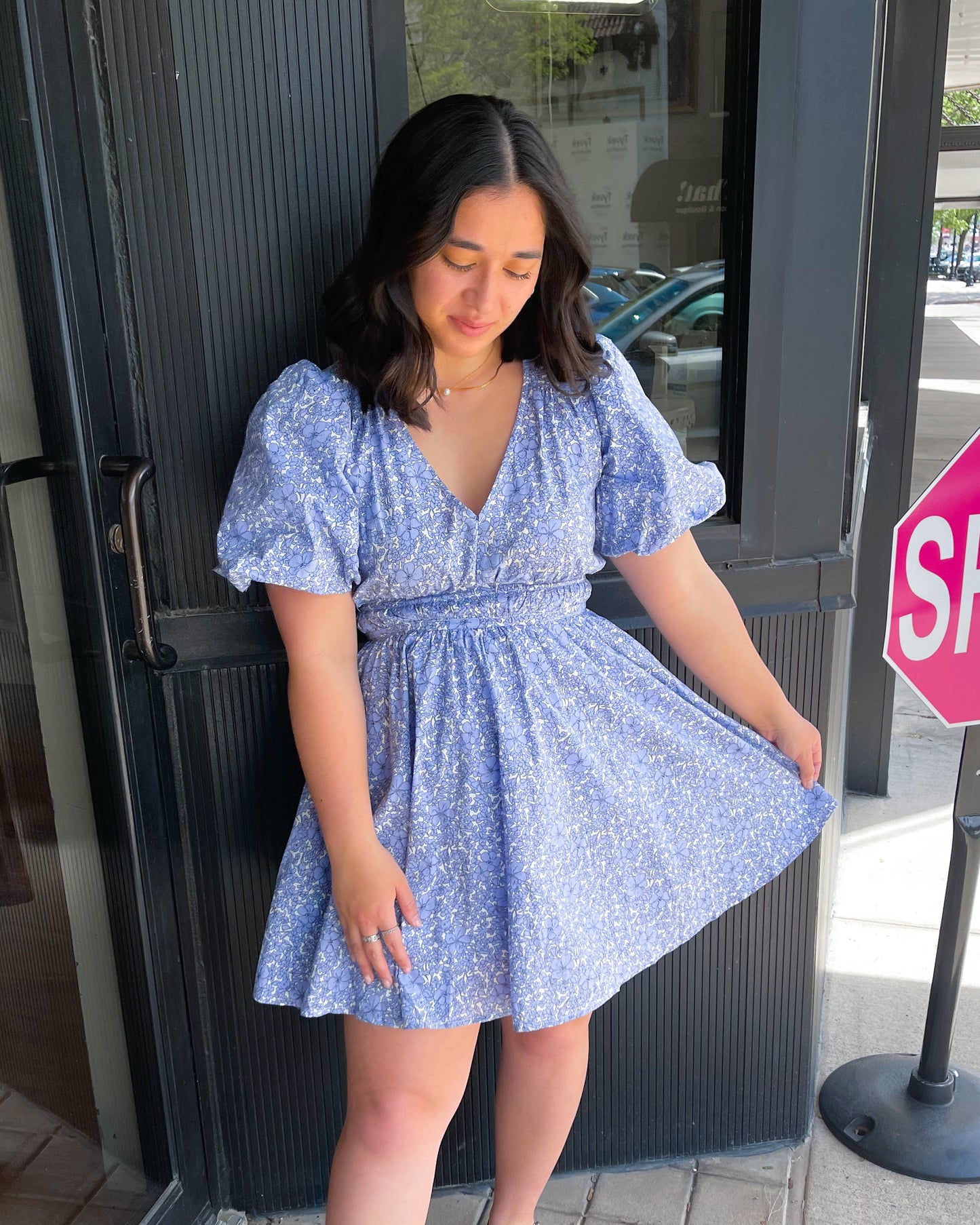 Tea Party Puff Sleeve Mini Dress