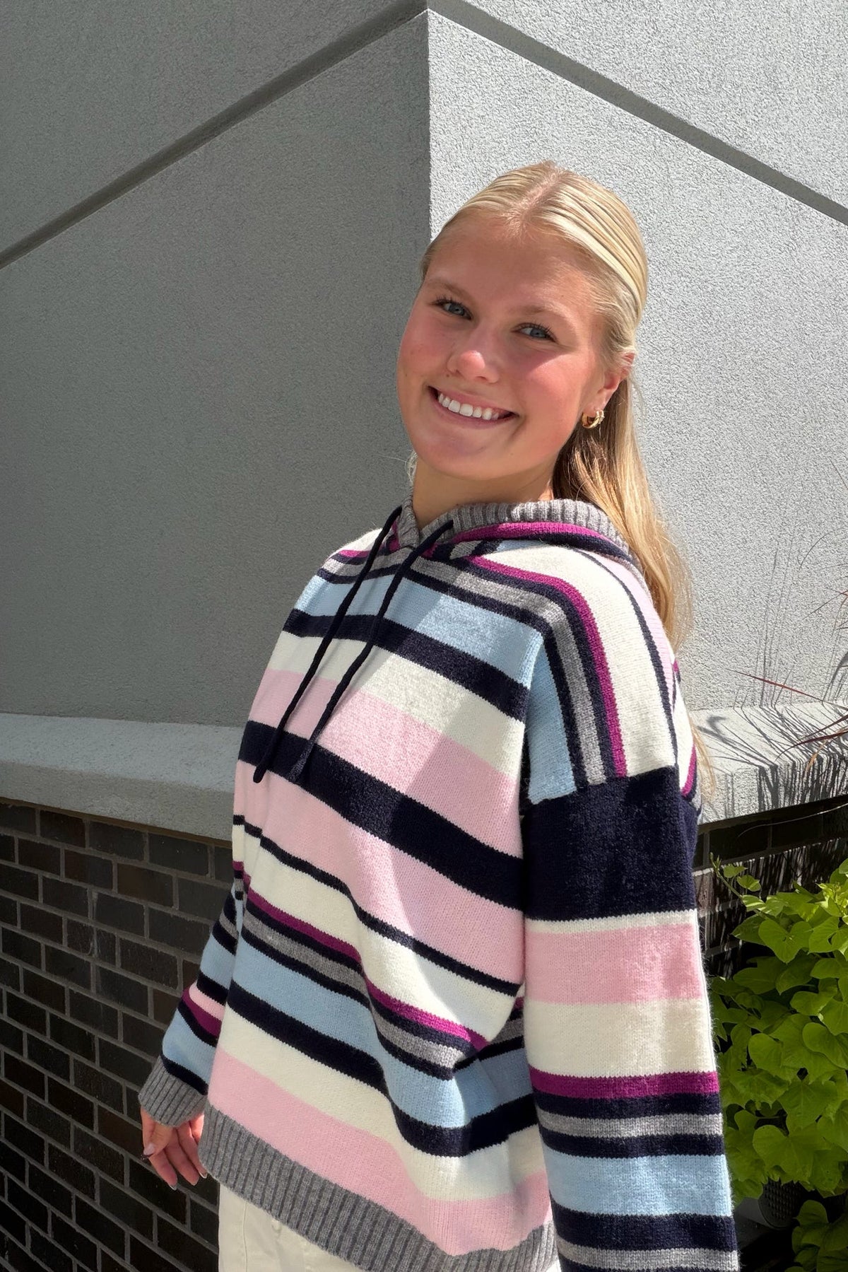 Pink Mult Stripe Sweater Hoodie