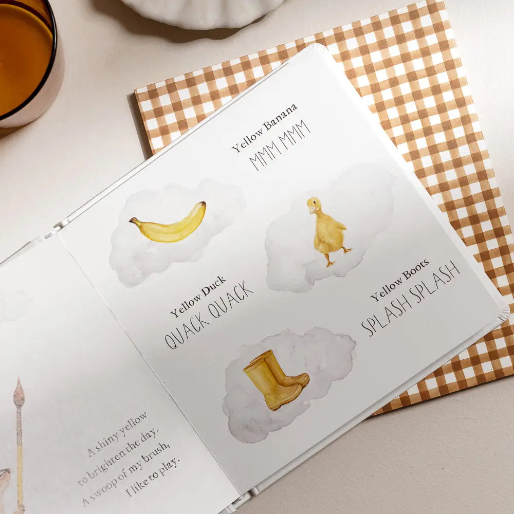 Wishy Washy Words & Colors Book