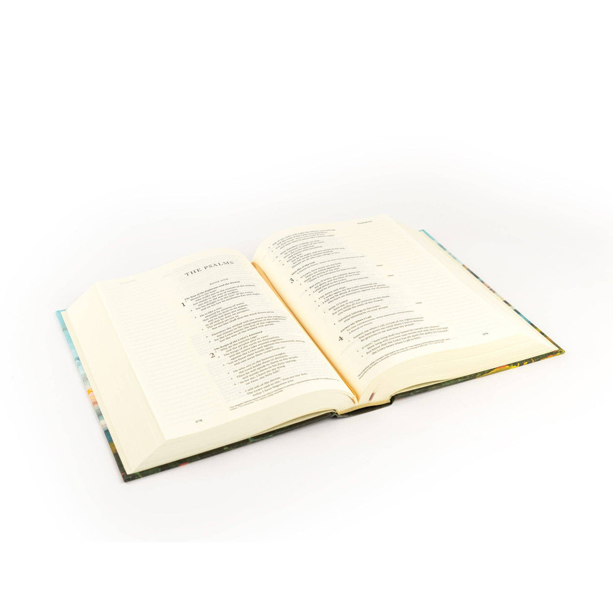 ESV Journaling Bible: Santa Lucia Theme