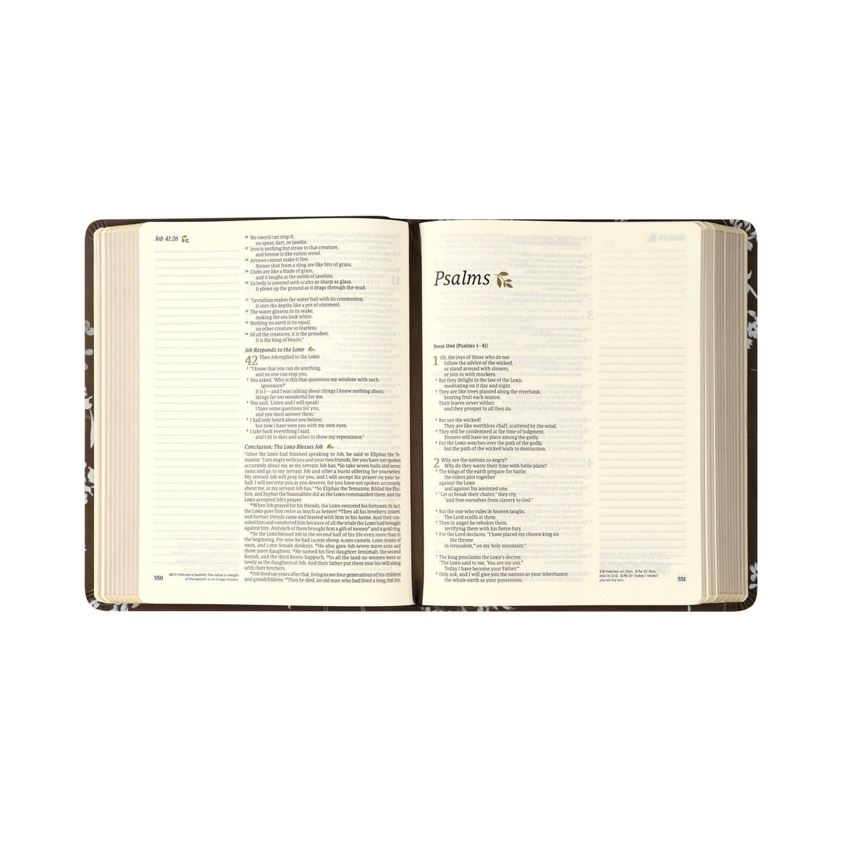 NLT Notetaking Bible: Lijiang Theme