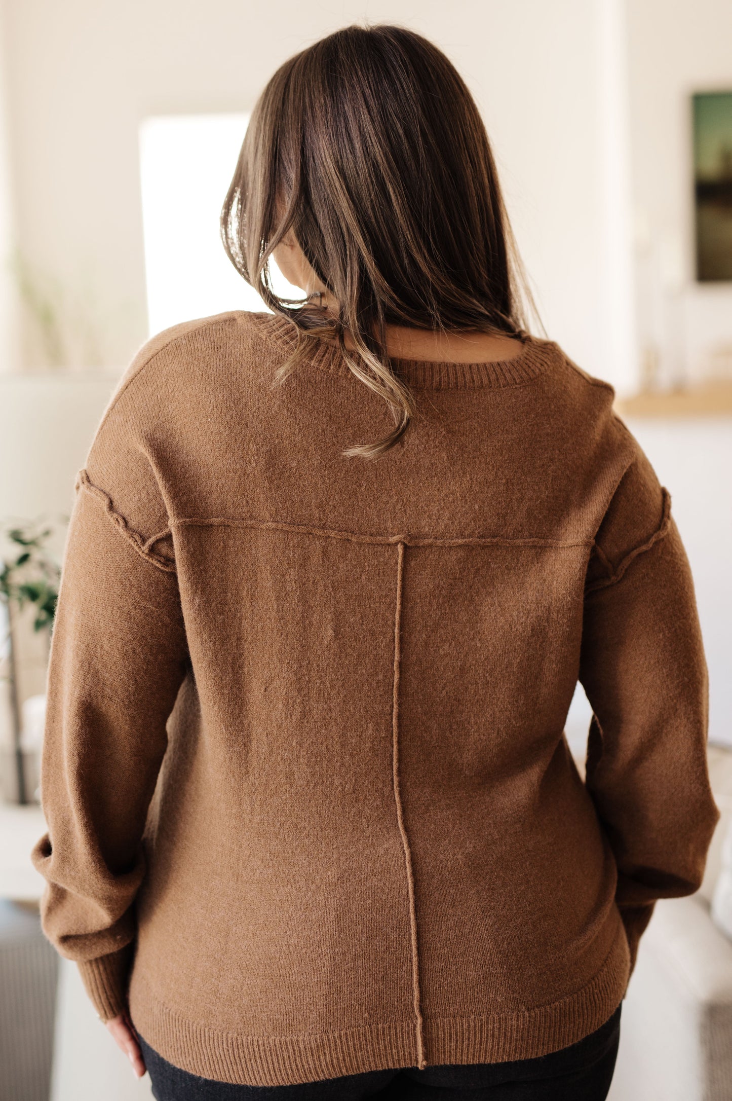 Back to Life V-Neck Sweater in Mocha (Online Exclusive)