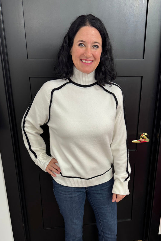 Sleek Turtle Neck Sweater