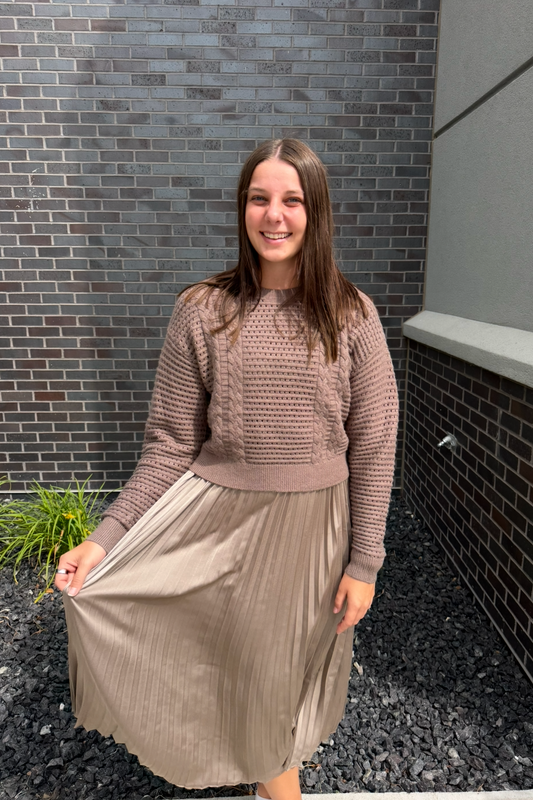 Pullover Sweater & Pleated Dress Set