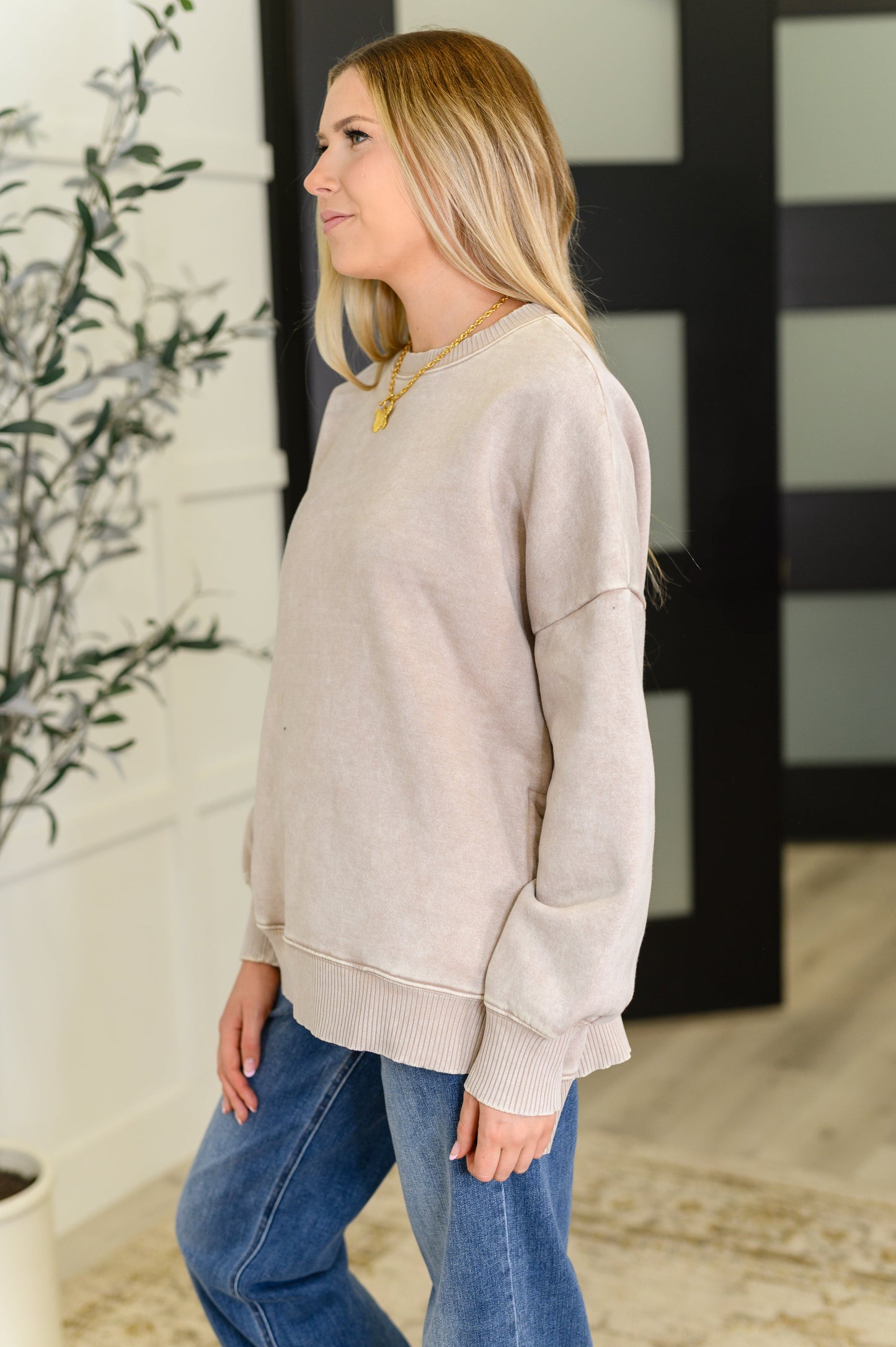 Safe and Secure Mineral Wash Pullover in Ash Mocha (Online Exclusive)
