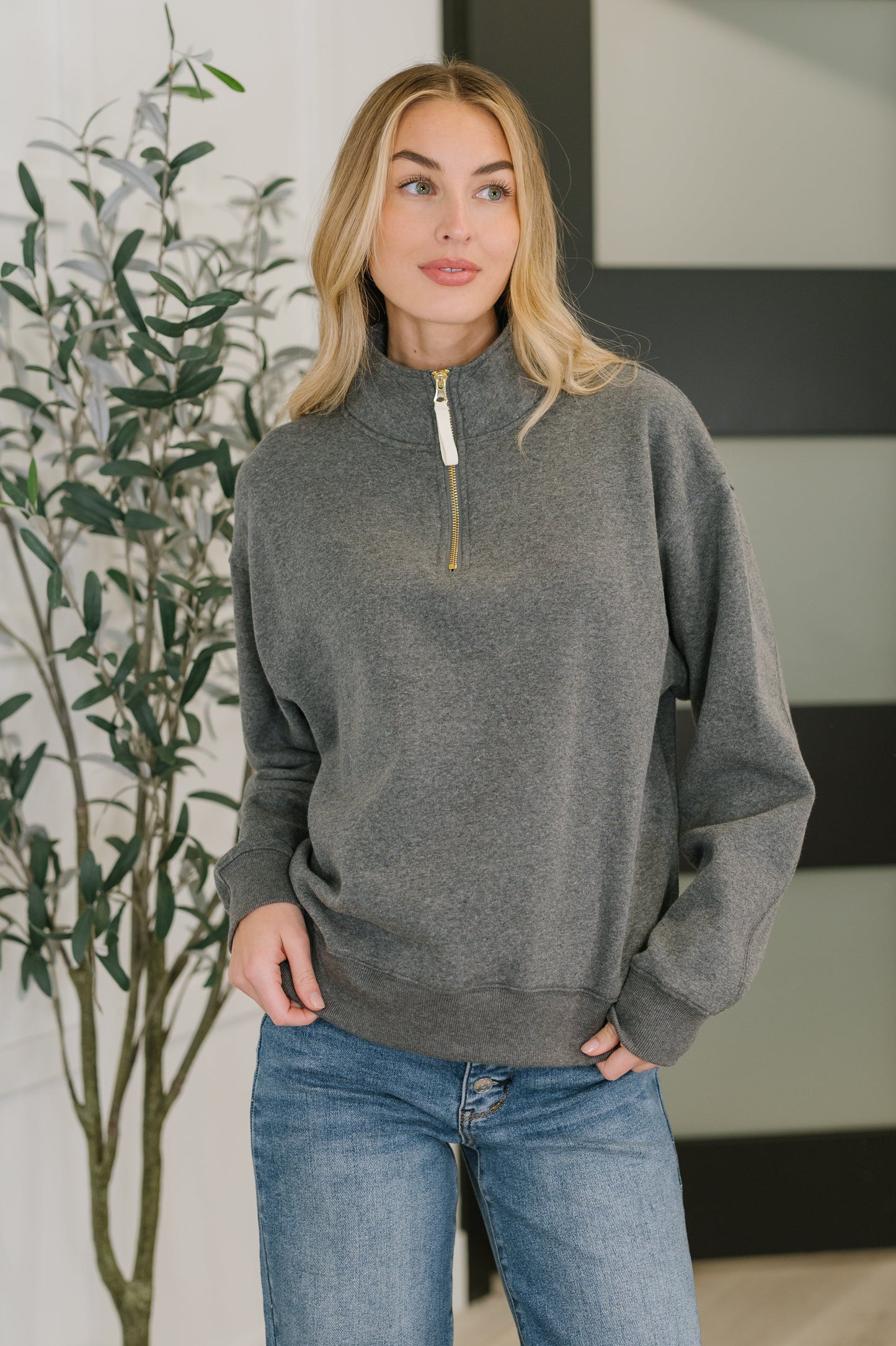 Sweater Weather Half Zip High Neck Pullover in Charcoal (Online Exclusive)