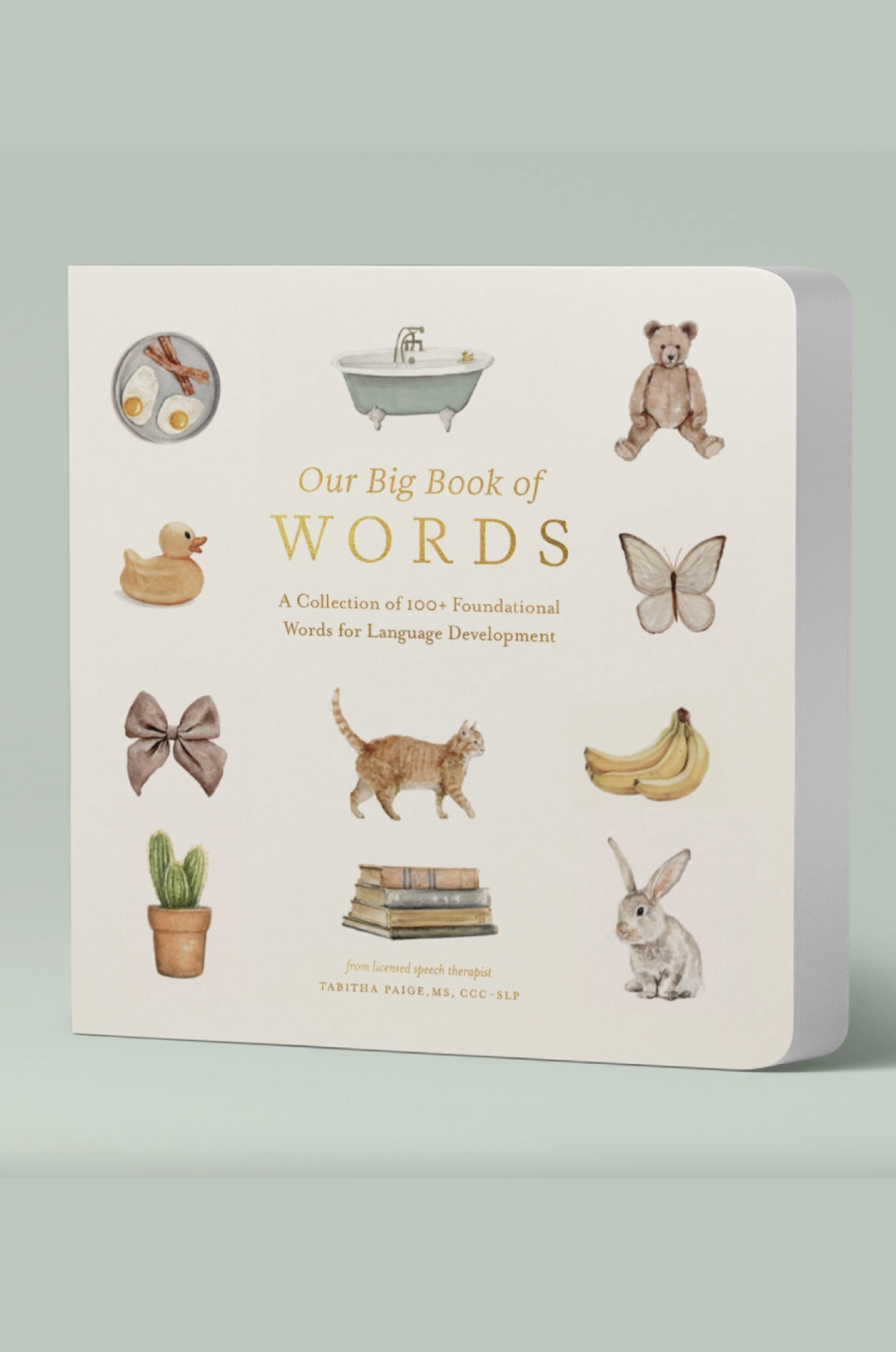Our Big Book of First Words