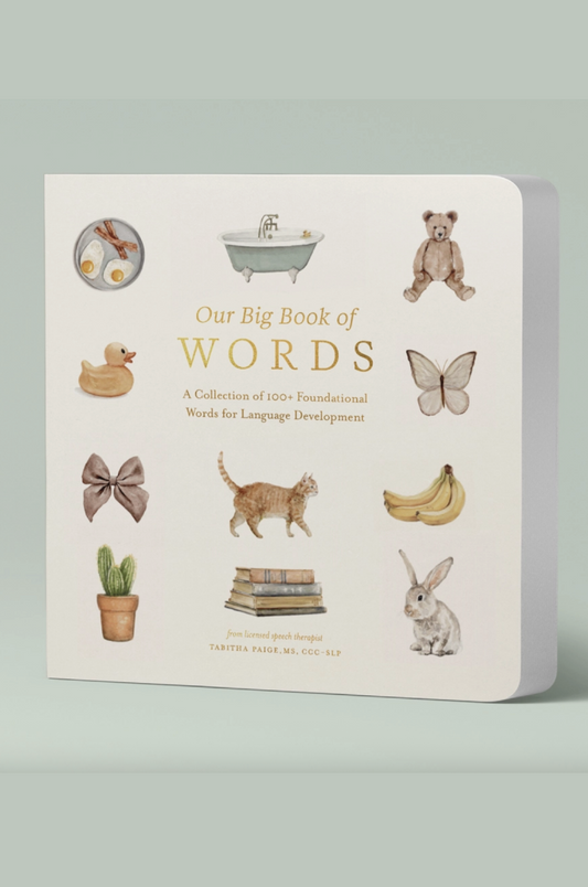 Our Big Book of First Words
