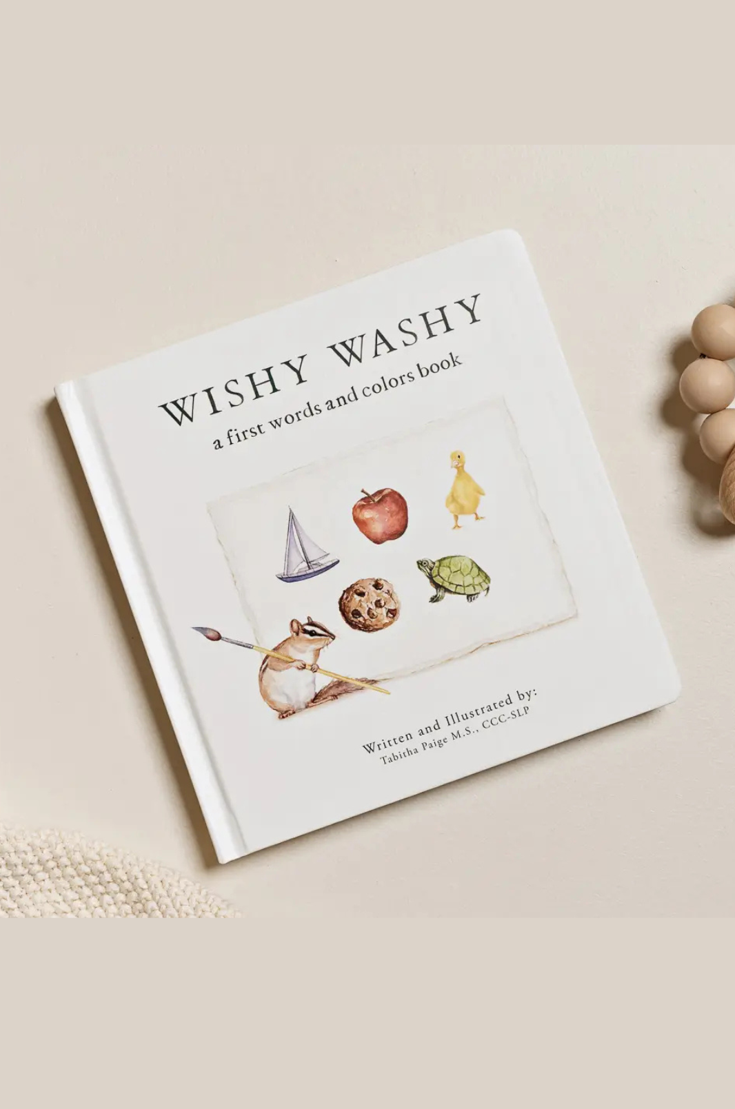Wishy Washy Words & Colors Book
