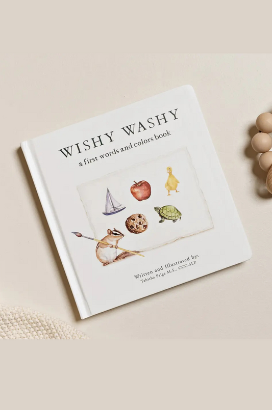 Wishy Washy Words & Colors Book