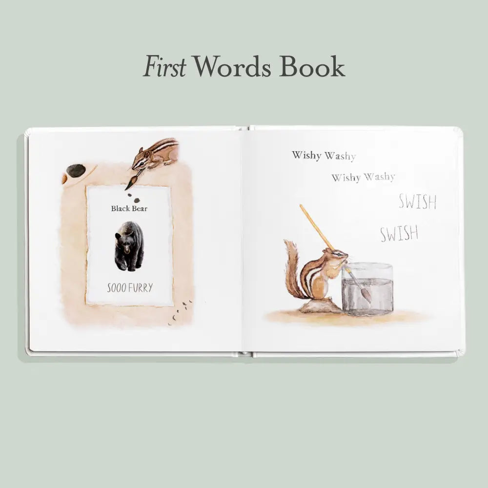Wishy Washy Words & Colors Book