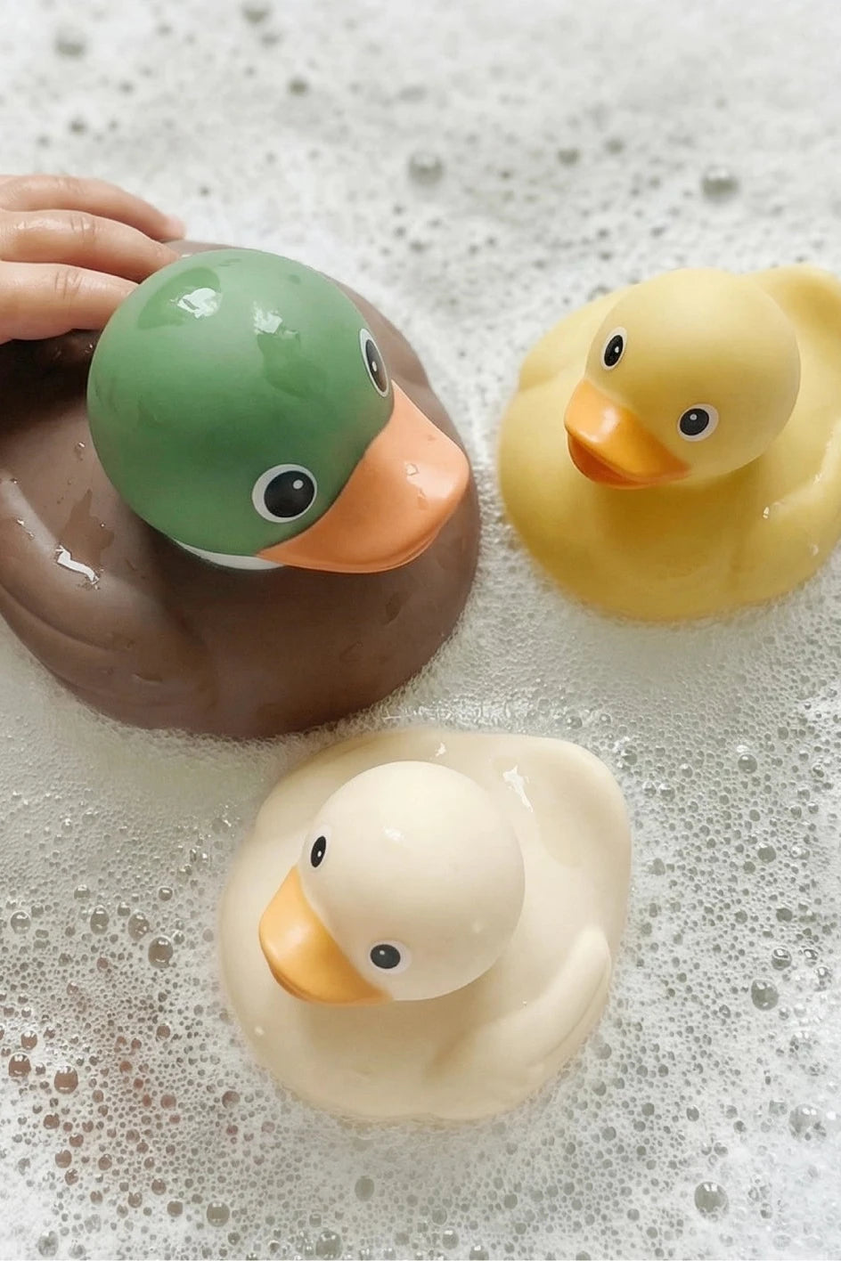 Itzy Mallard Family