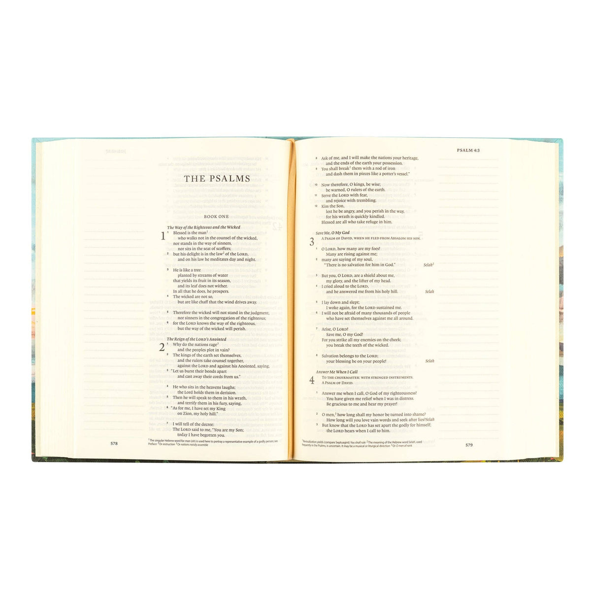 ESV Journaling Bible: Santa Lucia Theme