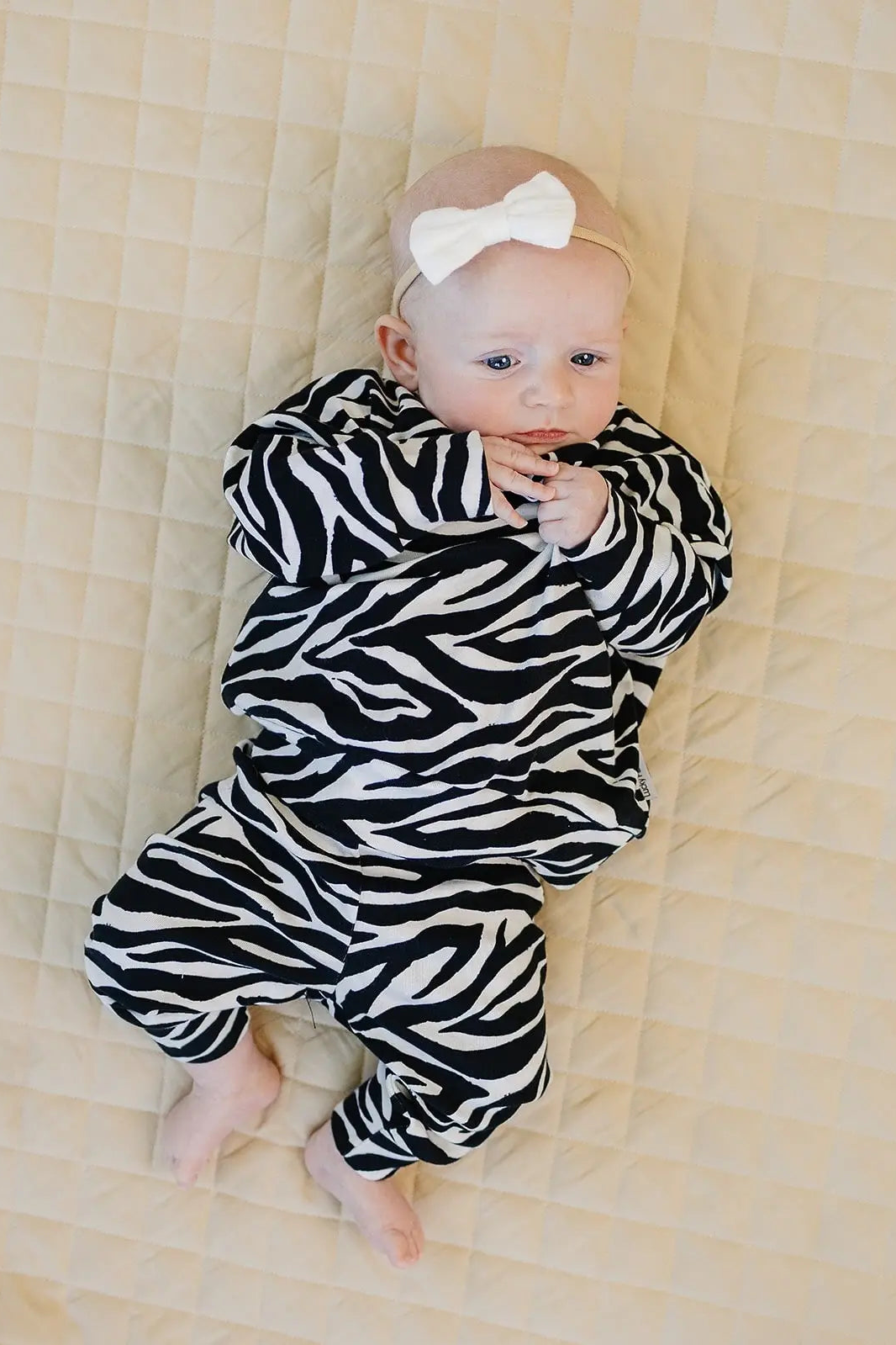 Zebra Jogger Set