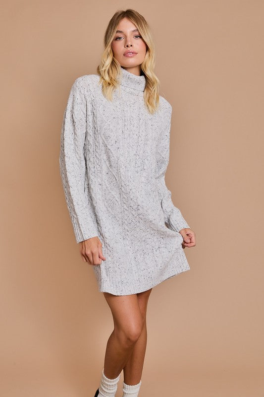 Turtle Neck Sweater Dress